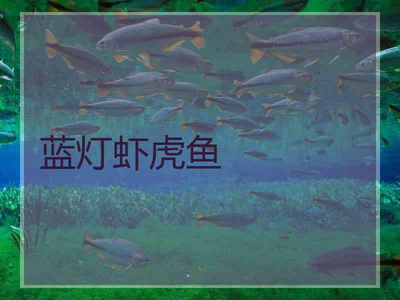 蓝灯虾虎鱼