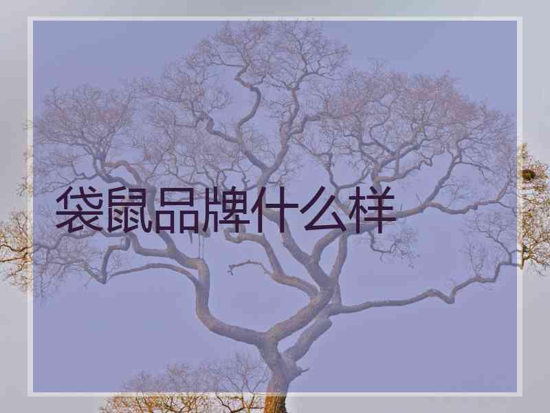 袋鼠品牌什么样 袋鼠品牌什么样