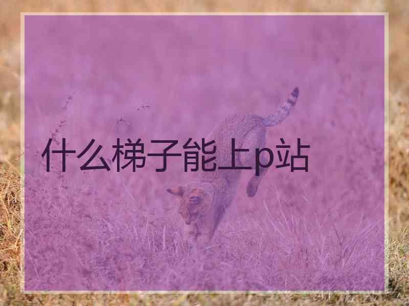 什么梯子能上p站 什么梯子能上p站