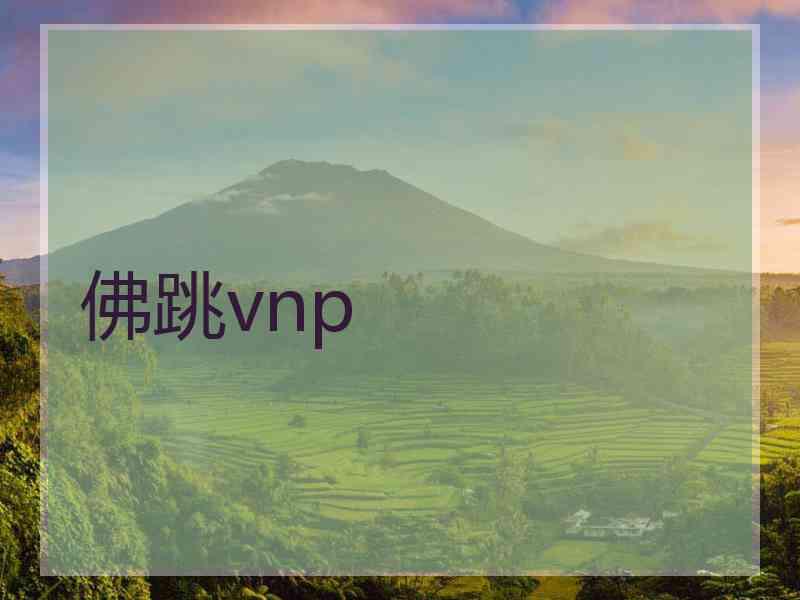 佛跳vnp 佛跳vnp