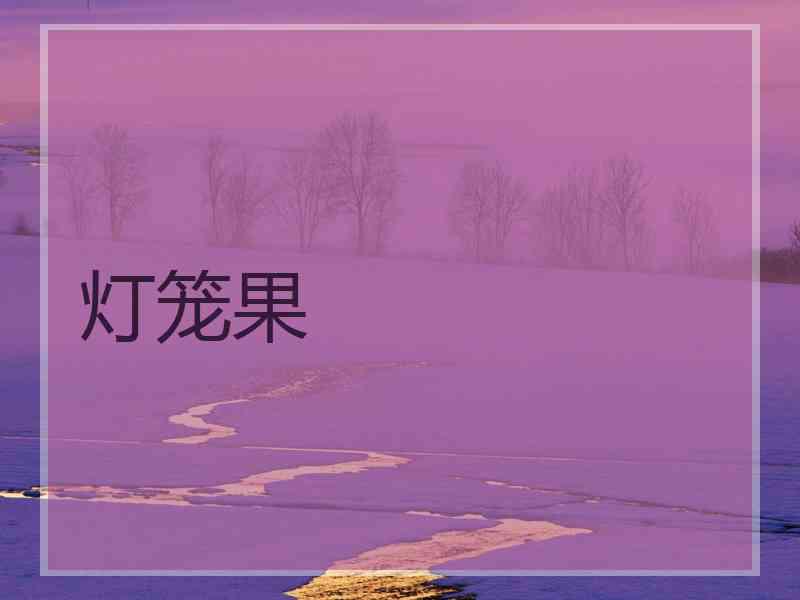 灯笼果 灯笼果