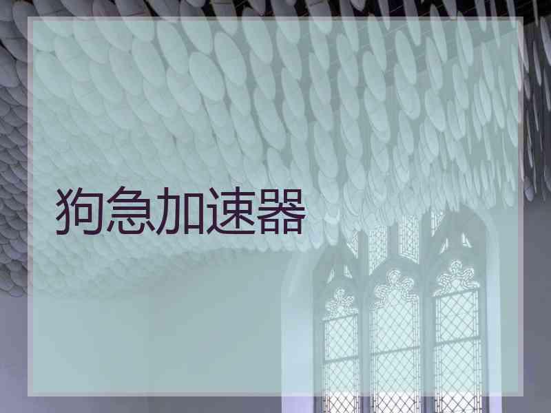 狗急加速器 狗急加速器