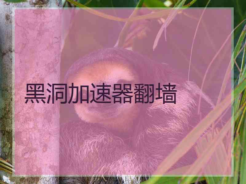 黑洞加速器翻墙 黑洞加速器翻墙