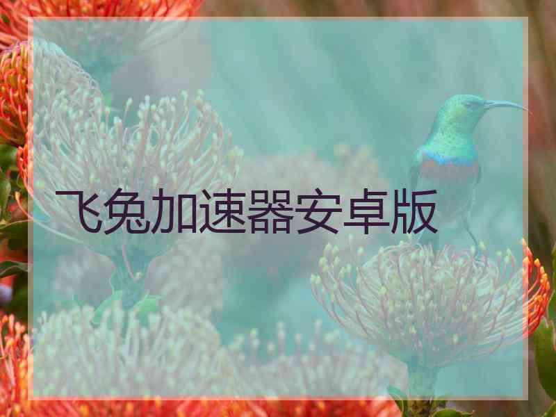 飞兔加速器安卓版 飞兔加速器安卓版