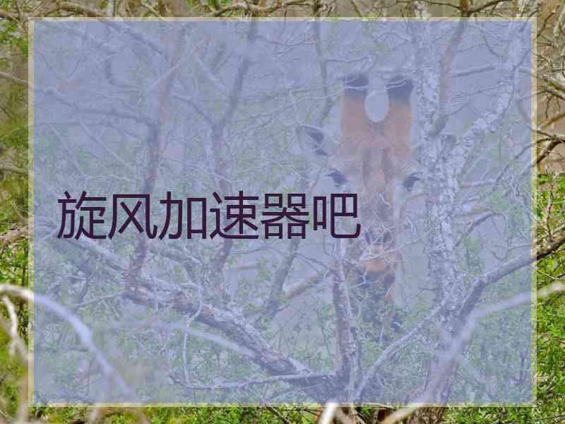 旋风加速器吧 旋风加速器吧