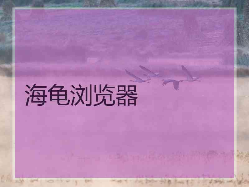 海龟浏览器 海龟浏览器