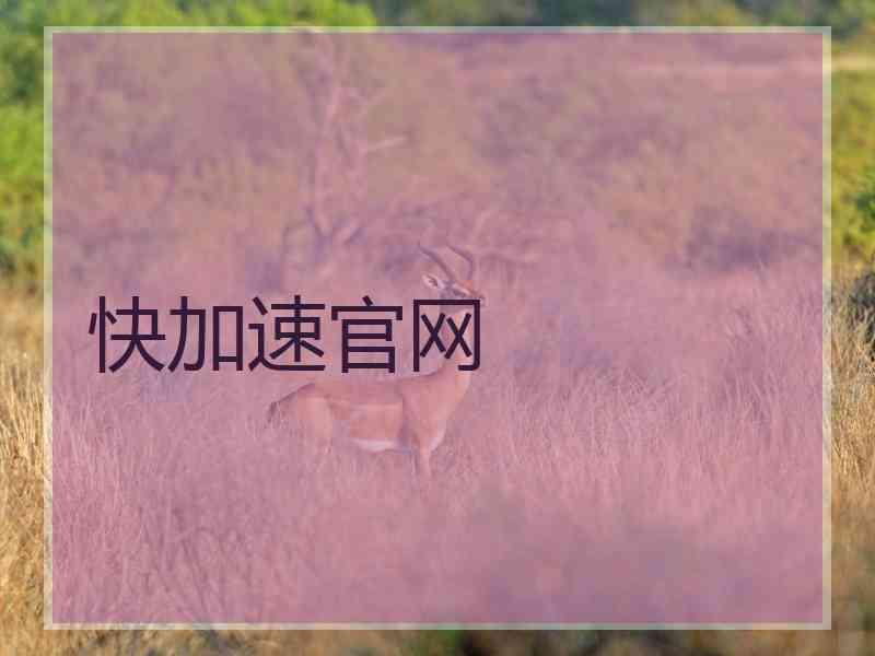 快加速官网 快加速官网