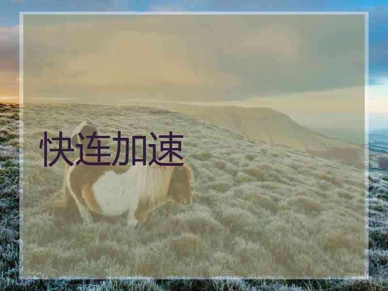 快连加速 快连加速