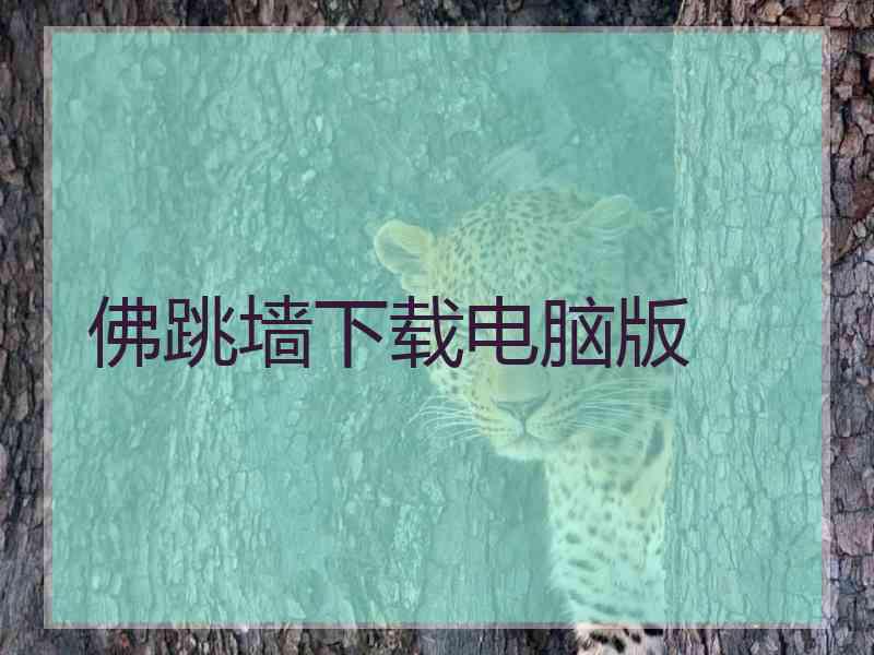 佛跳墙下载电脑版 佛跳墙下载电脑版