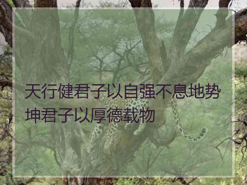 天行健君子以自强不息地势坤君子以厚德载物 天行健君子以自强不息地势坤君子以厚德载物