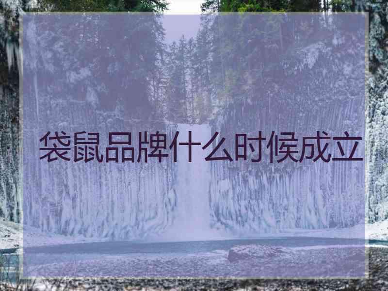 袋鼠品牌什么时候成立 袋鼠品牌什么时候成立