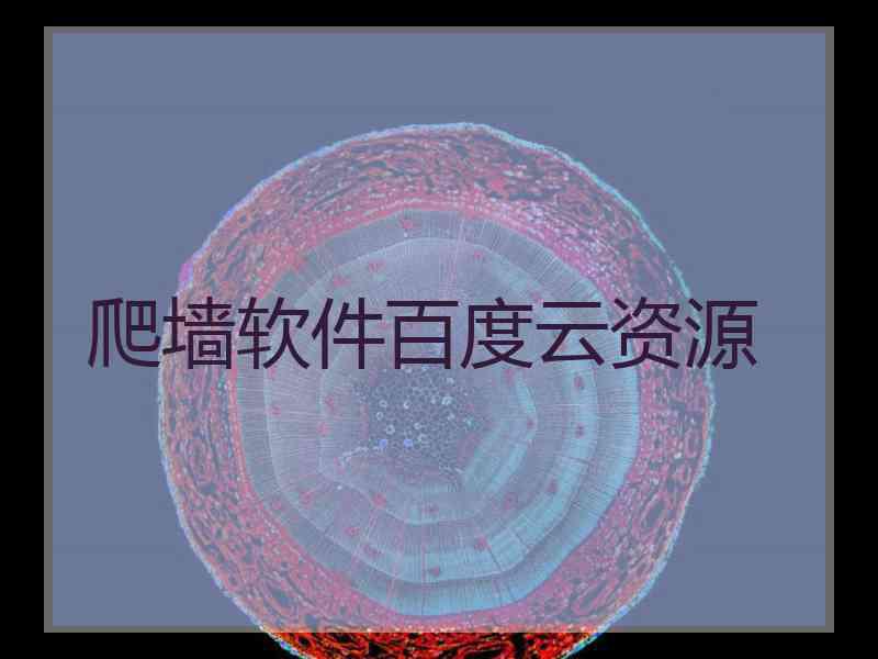 爬墙软件百度云资源 爬墙软件百度云资源