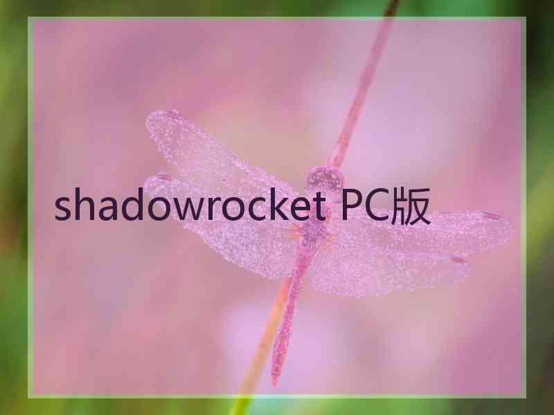 shadowrocket PC版