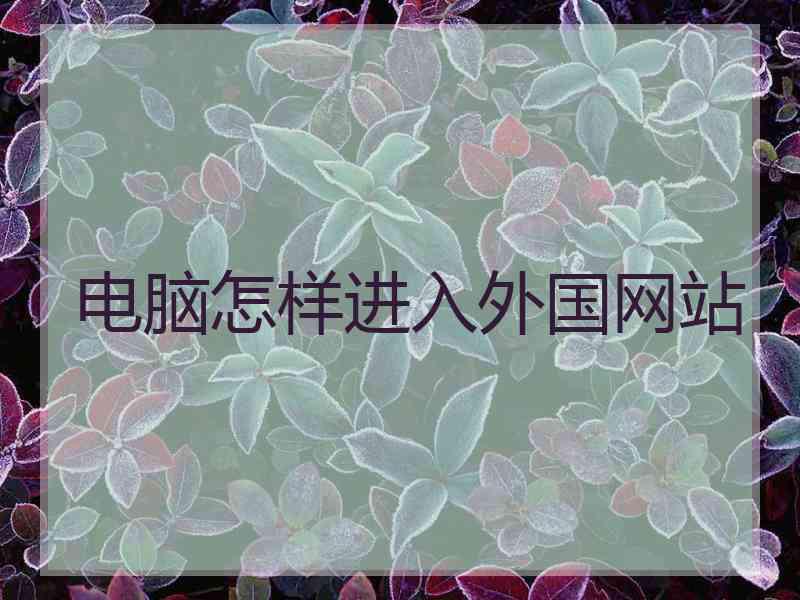 电脑怎样进入外国网站 电脑怎样进入外国网站