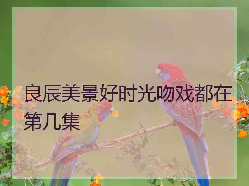 良辰美景好时光吻戏都在第几集 良辰美景好时光吻戏都在第几集