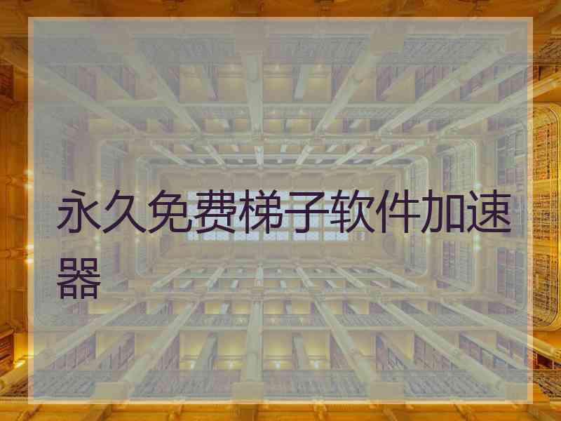 永久免费梯子软件加速器 永久免费梯子软件加速器