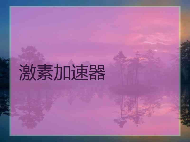 激素加速器 激素加速器