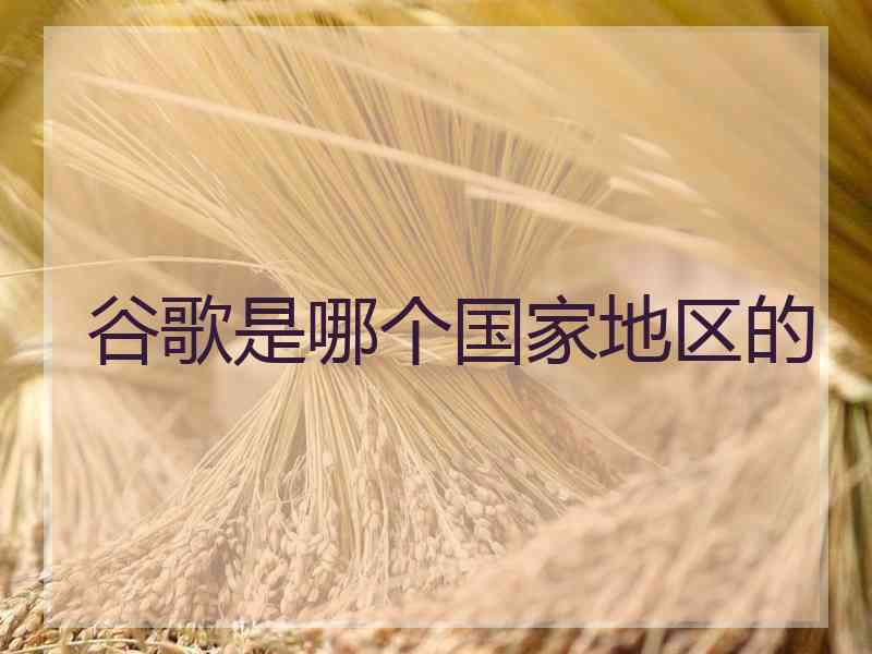 谷歌是哪个国家地区的 谷歌是哪个国家地区的