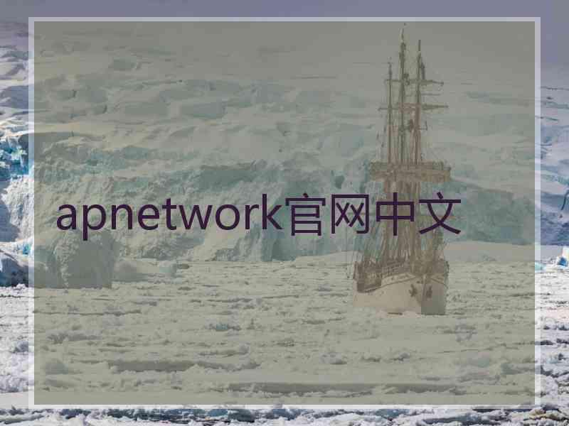 apnetwork官网中文 apnetwork官网中文