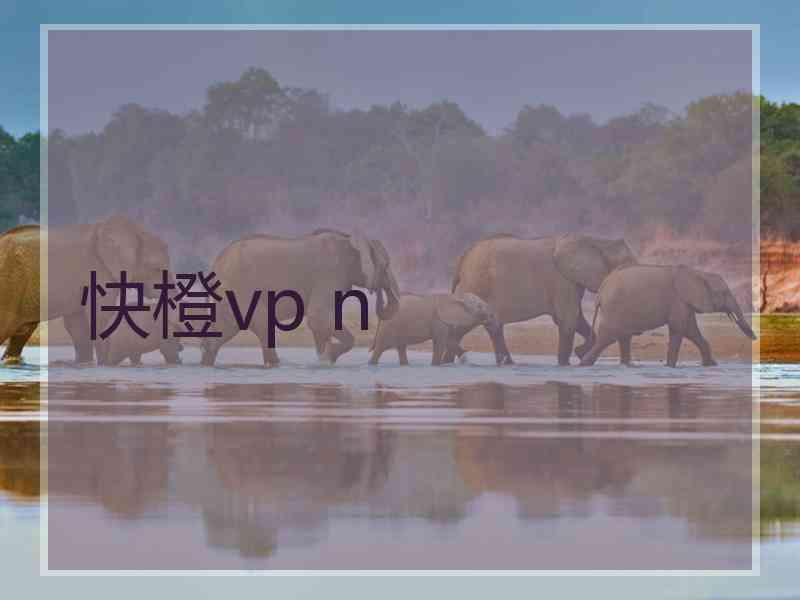 快橙vp n 快橙vp n