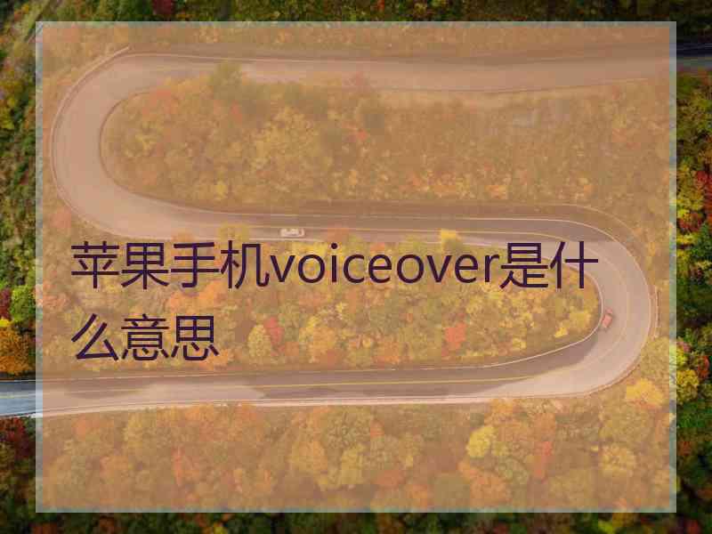 苹果手机voiceover是什么意思 苹果手机voiceover是什么意思