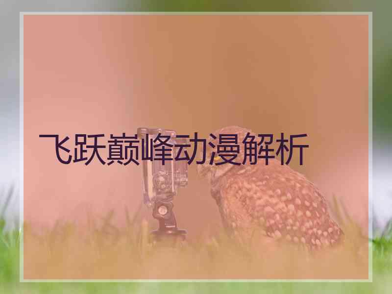 飞跃巅峰动漫解析 飞跃巅峰动漫解析