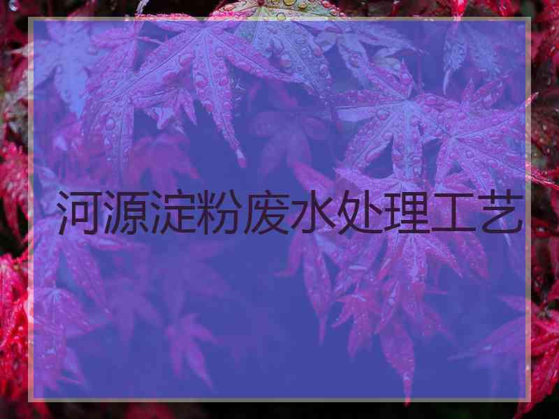 河源淀粉废水处理工艺