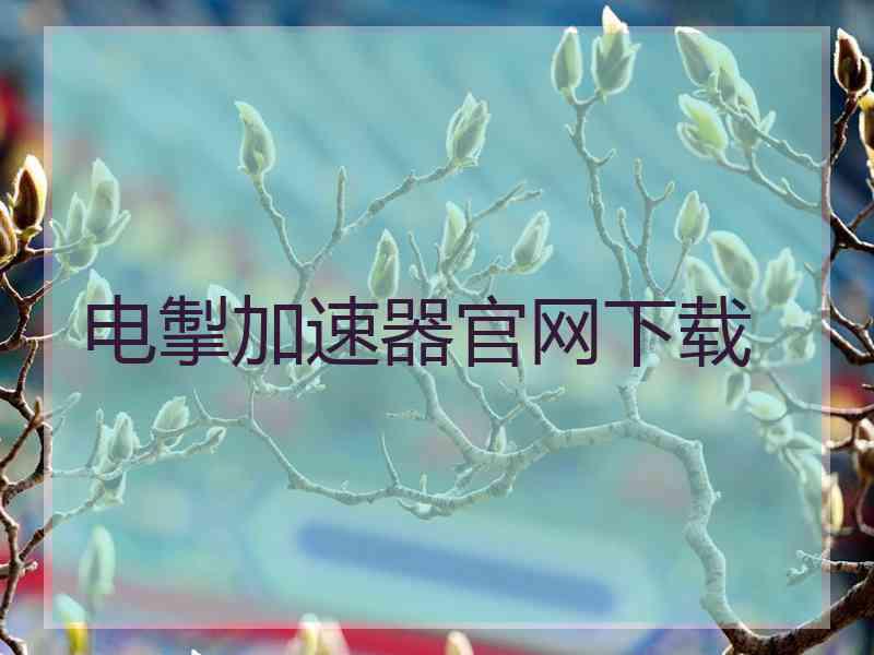 电掣加速器官网下载