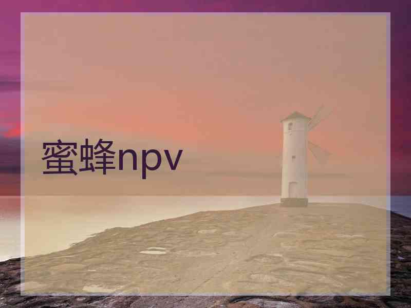 蜜蜂npv