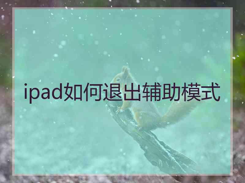 ipad如何退出辅助模式
