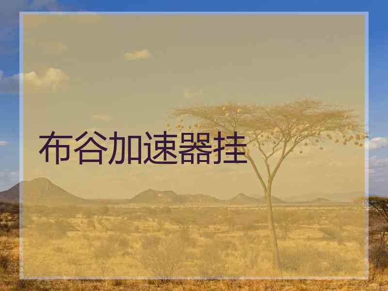 布谷加速器挂