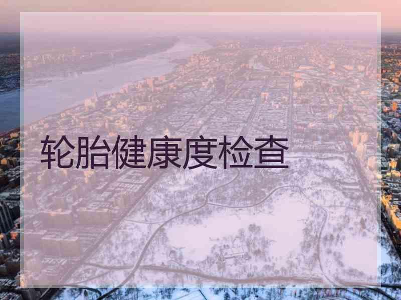 轮胎健康度检查