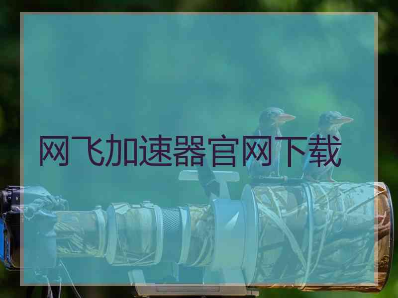 网飞加速器官网下载