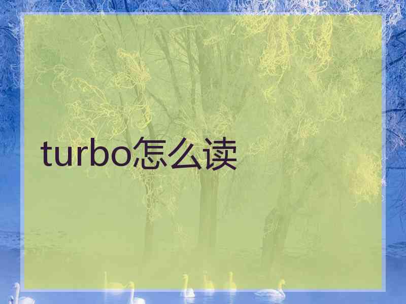 turbo怎么读