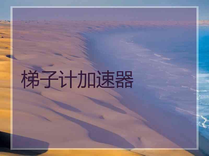 梯子计加速器