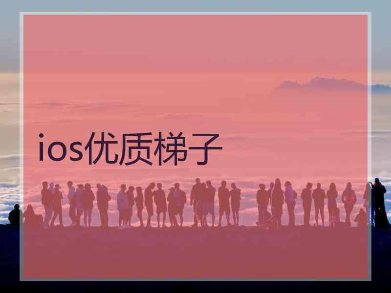 ios优质梯子