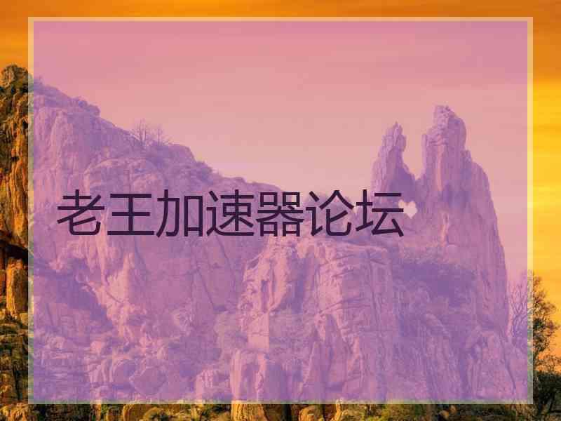 老王加速器论坛