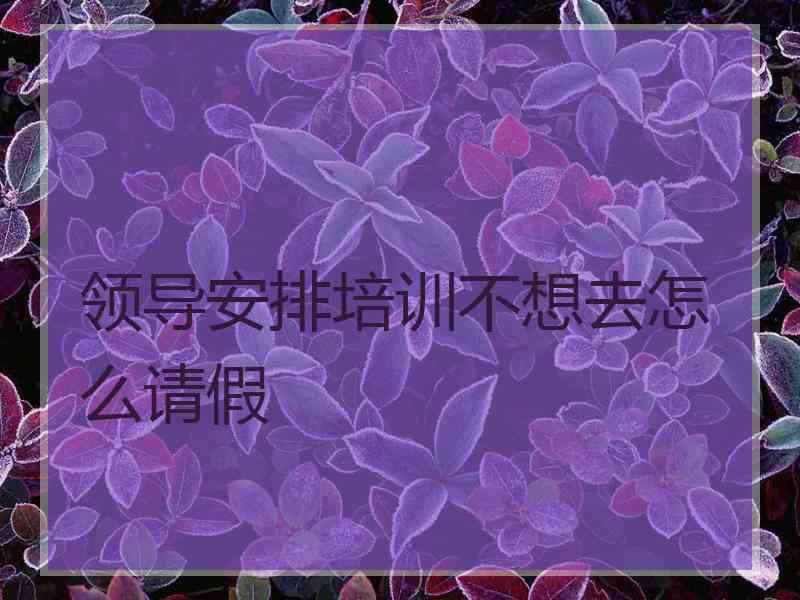 领导安排培训不想去怎么请假