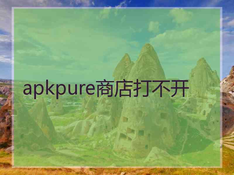 apkpure商店打不开