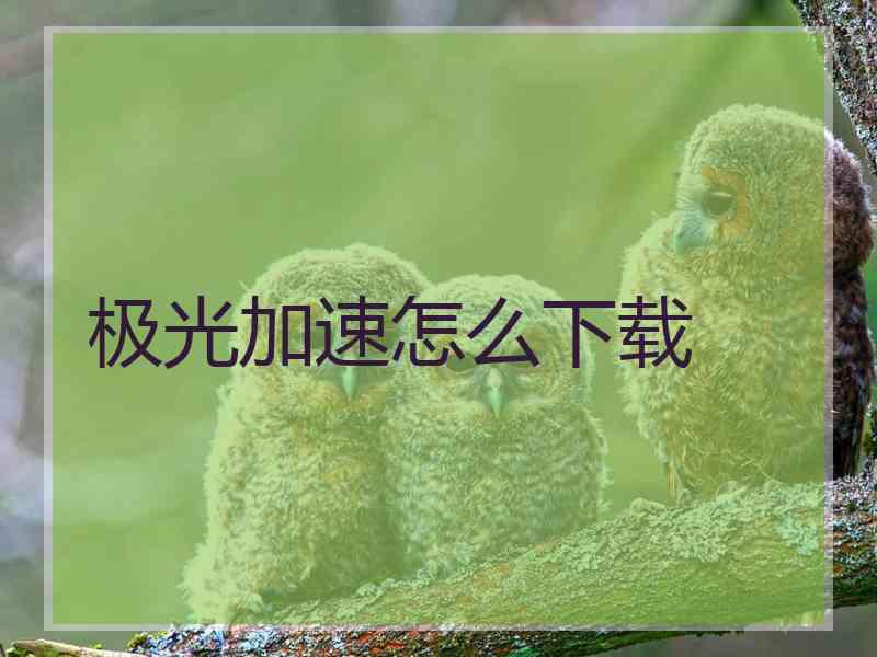 极光加速怎么下载
