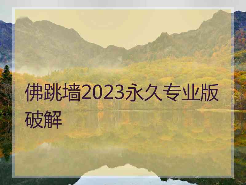 佛跳墙2023永久专业版破解