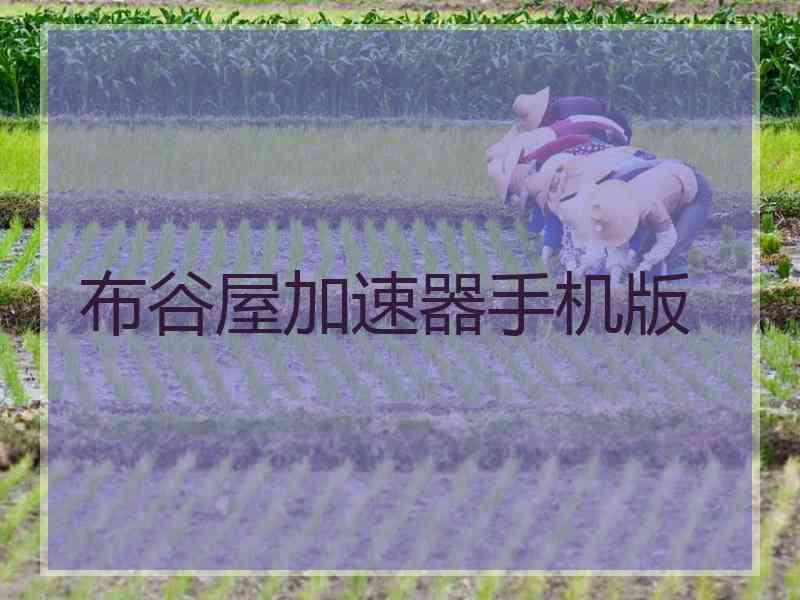 布谷屋加速器手机版