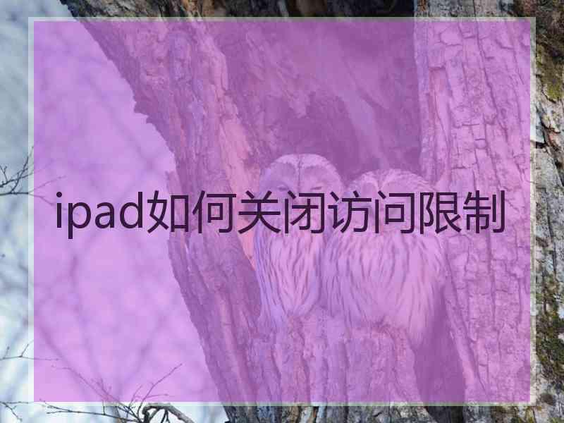 ipad如何关闭访问限制