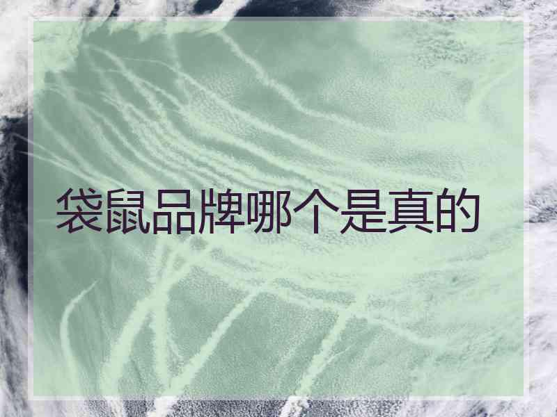 袋鼠品牌哪个是真的