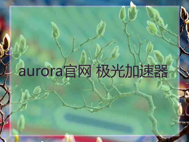 aurora官网 极光加速器