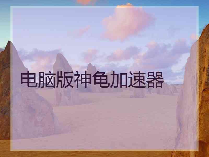 电脑版神龟加速器