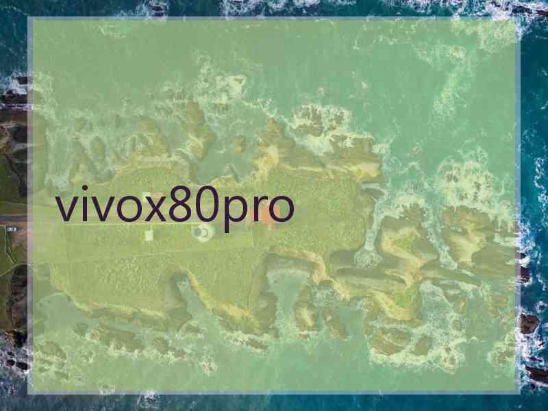 vivox80pro