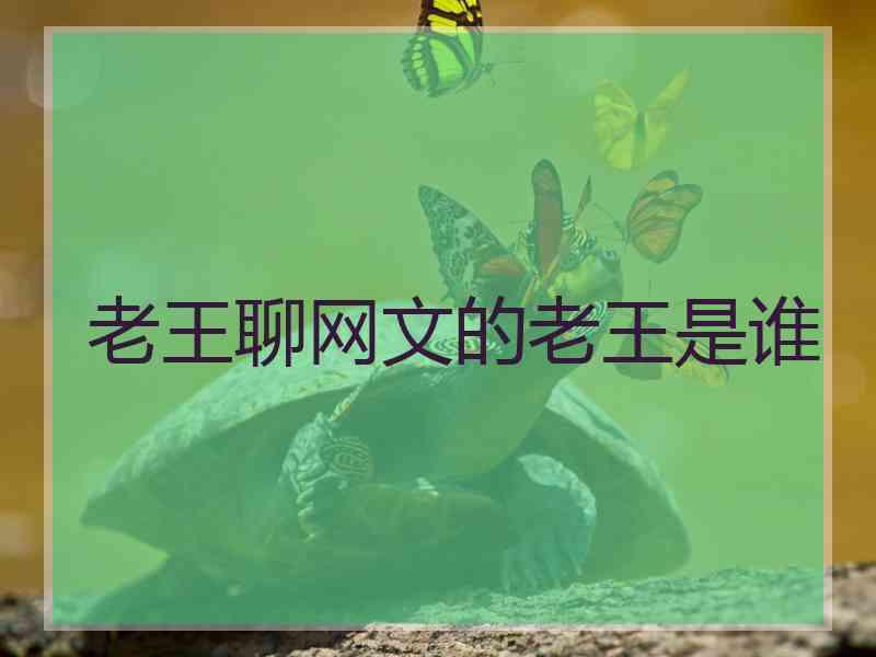 老王聊网文的老王是谁