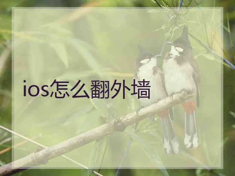 ios怎么翻外墙