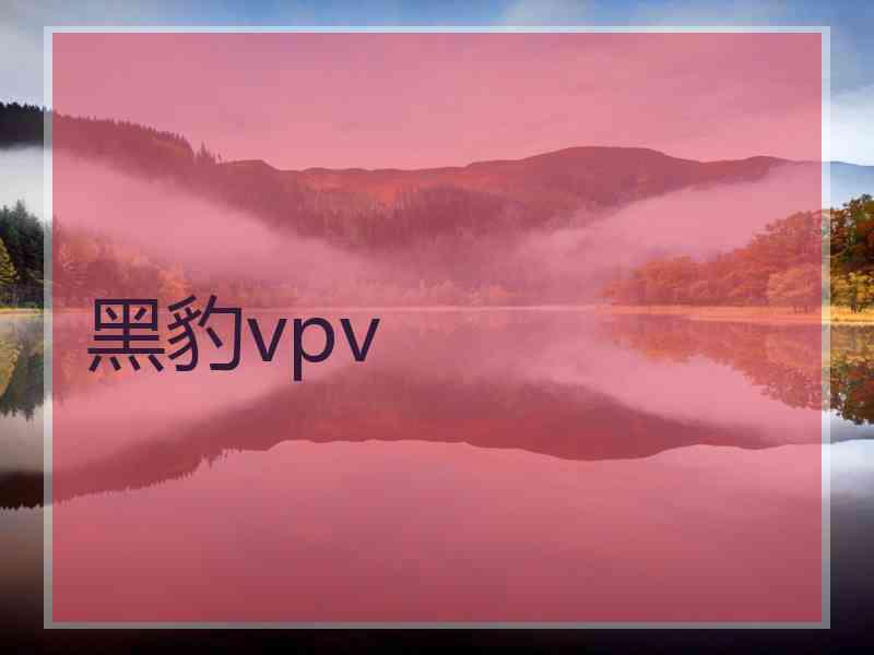 黑豹vpv